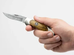 Junior Scout Curly Birch Brown Damascus