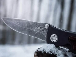Leopard-Damascus Ii