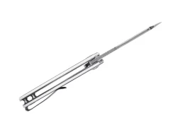 Mini Sheepdog C01C G10 Black White