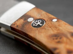 Pocket Thuja Damascus