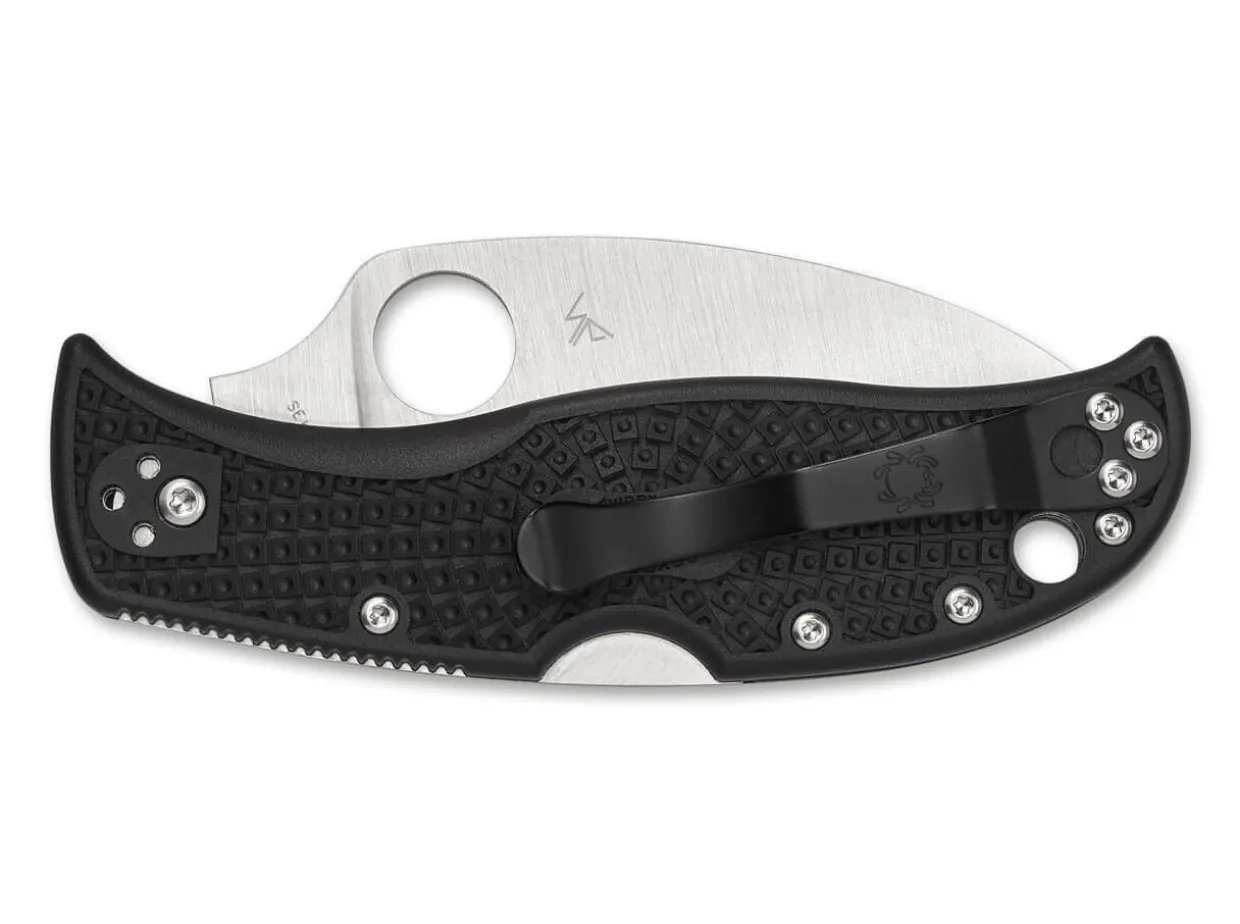 Rockjumper Serrated